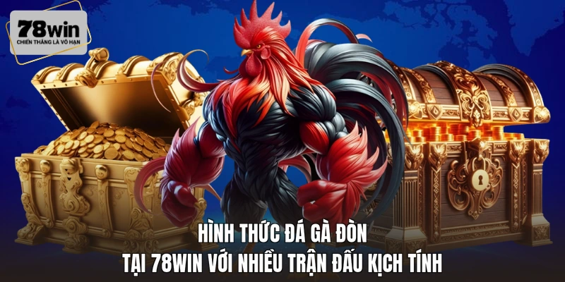 Hình thức đá gà đòn tại 78WIN với nhiều trận đấu kịch tính
