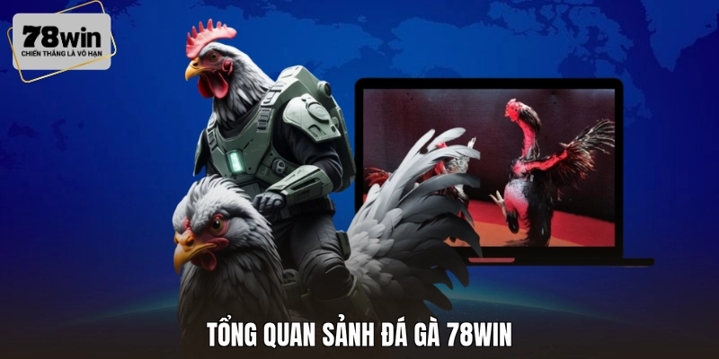 Tổng quan sảnh đá gà 78WIN
