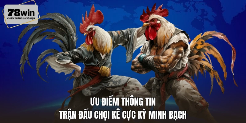Ưu điểm thông tin trận đấu chọi kê cực kỳ minh bạch